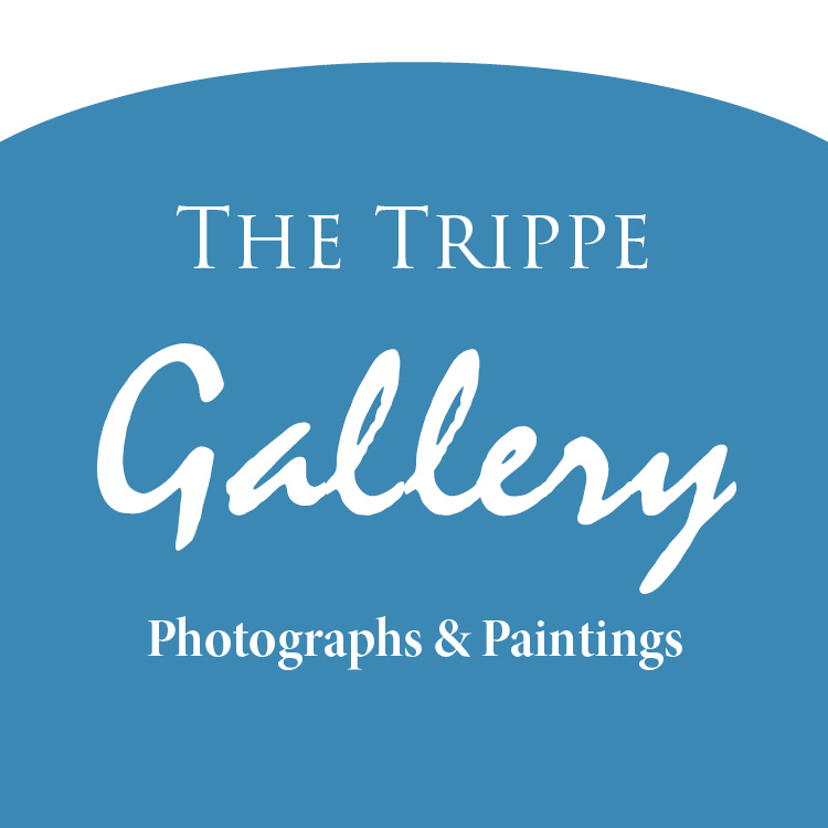 “Variations 5.0: 1 Photograph, 16 Paintings” opens on July 10 at The Trippe Gallery.